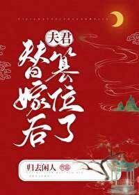 替嫁宠妃13集免费播放