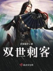 双什么刺客?电视剧