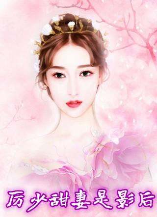历少的瘾婚甜妻
