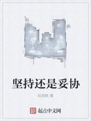 坚持和妥协作文