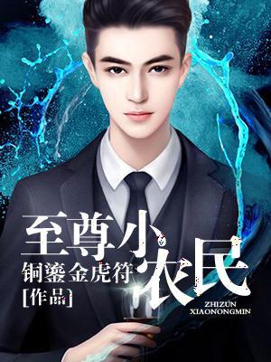 至尊小农民王木生简介