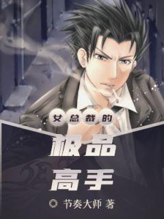 叶枫柳清允女总裁的极品高手