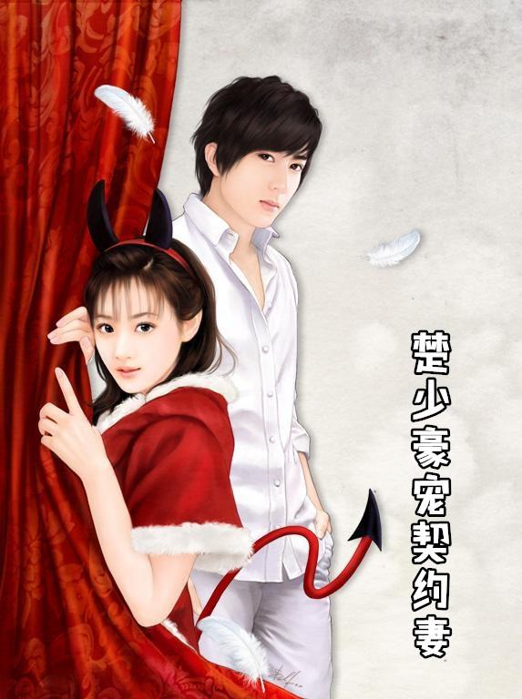 楚少宠妻指南免费