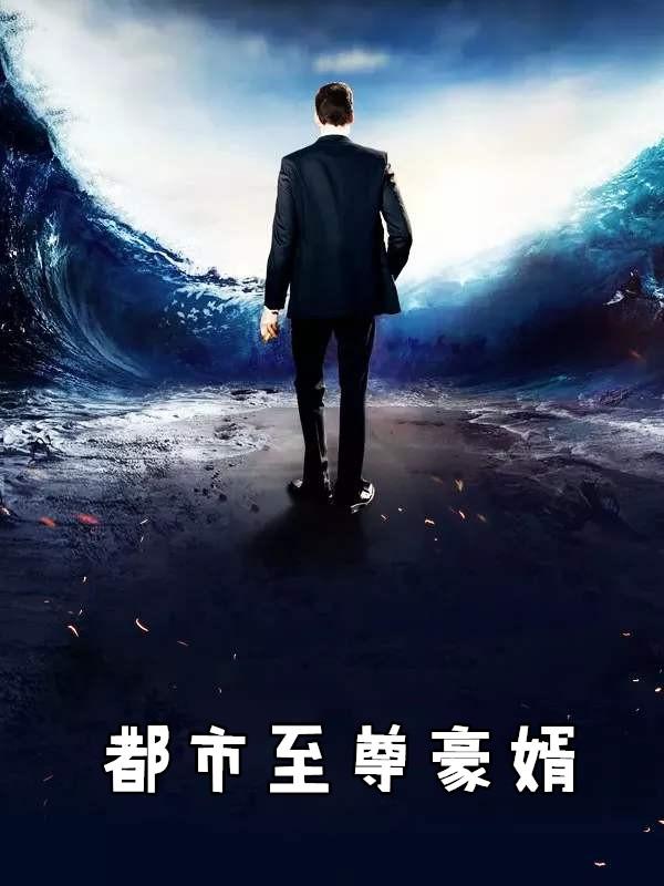 都市至尊豪婿电视剧一共多少集