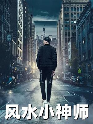 风水小宗师免费阅读全文最强小道士