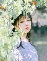 宋锦书厉卿川什么时候更新