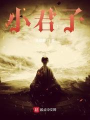 三国之小君子txt
