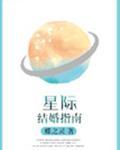 星际结婚指南无和谐版
