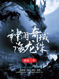 神澜奇域海龙珠动漫