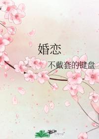 婚恋网