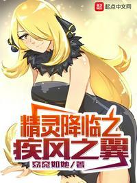 精灵宝可梦疾风之翼