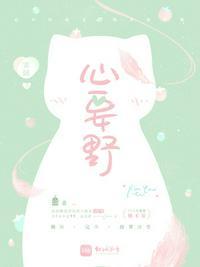 心要野 后海大鲨鱼歌词
