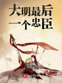 大明最后一个丞相是谁