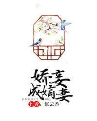 娇妾成嫡妻百度