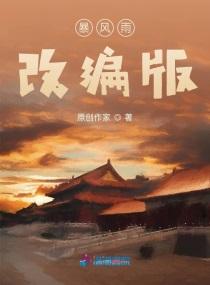 那场暴风雨可能是是什么