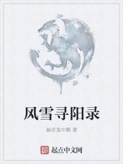 风雪寻线路