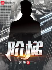 梯级式桥架