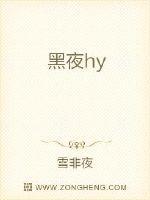 黑夜汉化官方网站入口