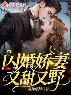 闪婚娇妻又甜又野txt