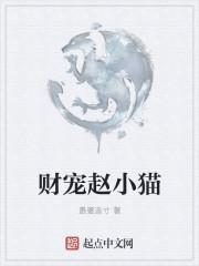 财小猫贷款