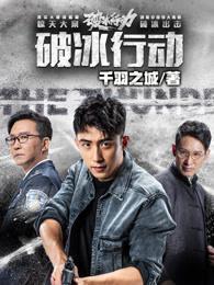 破冰行动马云波身份