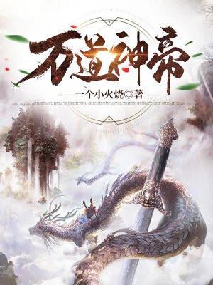 万道神帝星夜