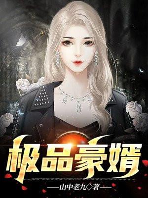 极品豪婿哔哩哔哩