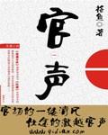 官声之巅峰权力253章