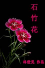 石竹花期多长时间