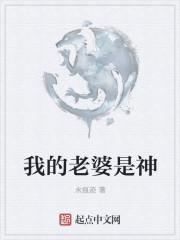 我的老婆是神探
