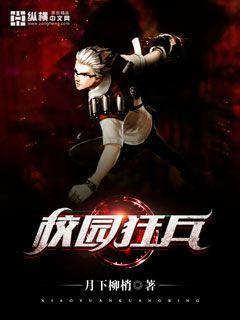 校园狂兵林风