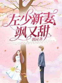 左少新妻飒又甜大结局