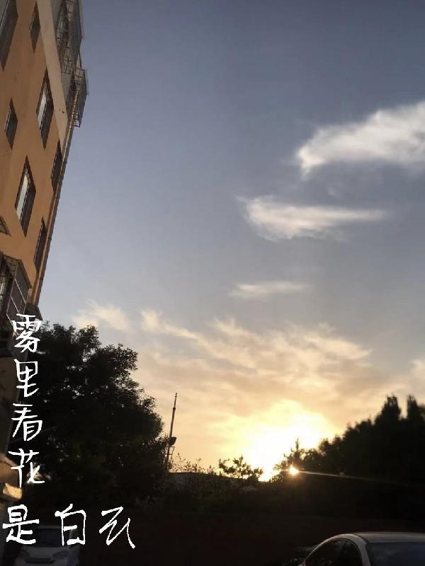 雾里看花近义词