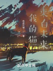 来吧我的小猫咪