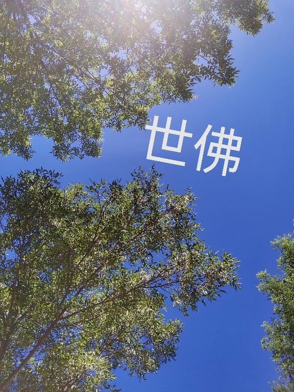 山西华严寺简介三世佛