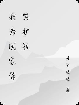 国家保驾护航的标语
