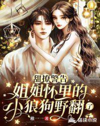 姐姐味的小狼狗