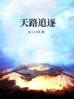 天路历程赞美诗歌视频