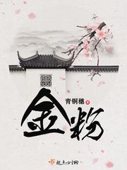 金粉世家导演