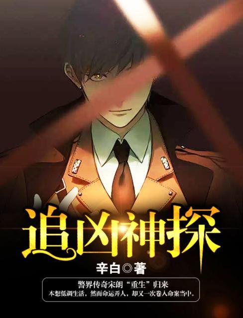 追凶神探动画