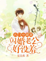名门小甜甜闪婚老公好