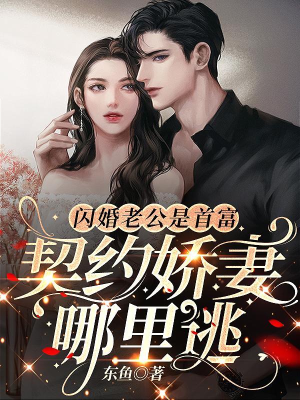 闪婚总裁契约夫妻