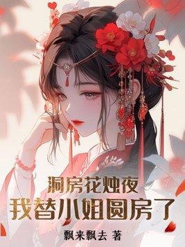 我替小姐圆房了TXT