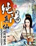 纯阳真仙境界