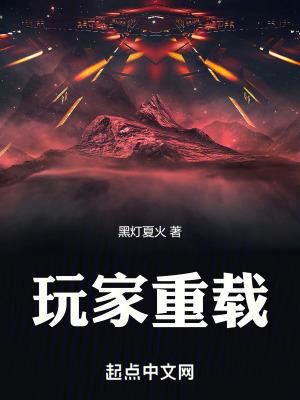 玩家重载手打无错版