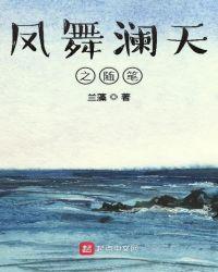 凤天澜