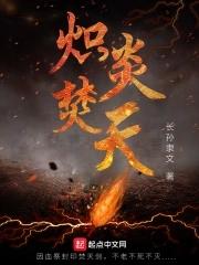 炽炎焚天甲