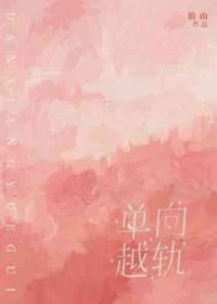 单轨属于什么导向方式
