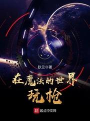 主角在魔法世界用枪