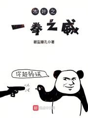 木叶之火拳艾斯